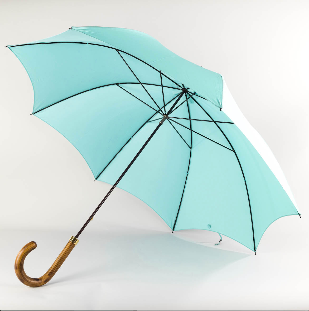 Turquoise Umbrella